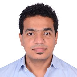 Osama Elshanwany