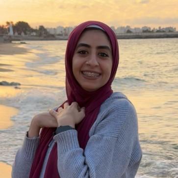 Alaa Fahmii Aboul-Fotoh