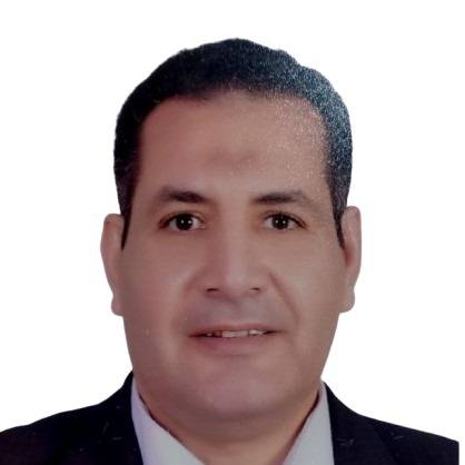 محمد السيد سليمان