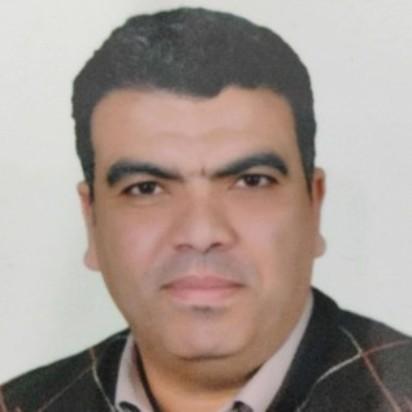 Mostafa Fawzy Mohamed