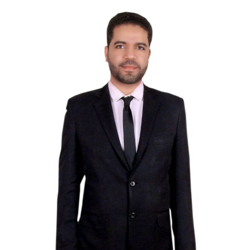 Hussein AbdelBaset Hassan Hashem