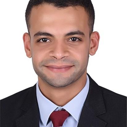 Ahmed Amr Hareedy
