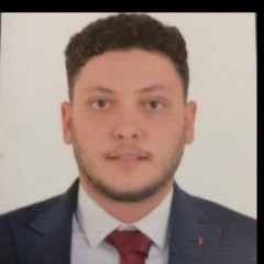 Mohamed Essam Fawzy