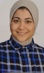 Wessam Hamdy Ibrahim