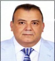 MOHAMED FOUAD SHARAF EL-DIN