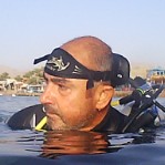 SAMEH SALAMA