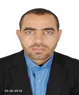 Mohamed Abdel Mawgoud Abdelaziz Hassan