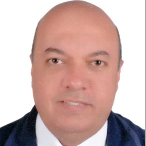 Moustafa Mohamed Gaballa Fouda