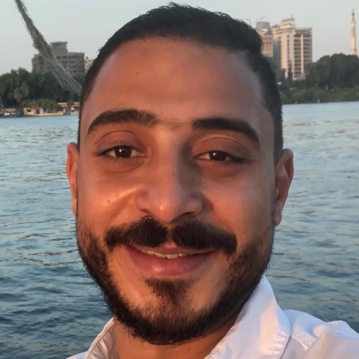 Mohamed Naiem El-Gammal