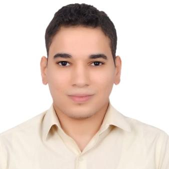 Mostafa Almansoori
