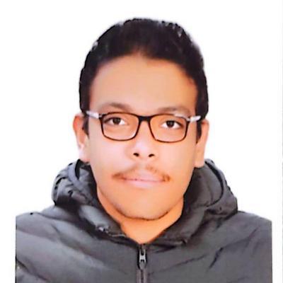 Mohamed Mostafa Nour Eldeen
