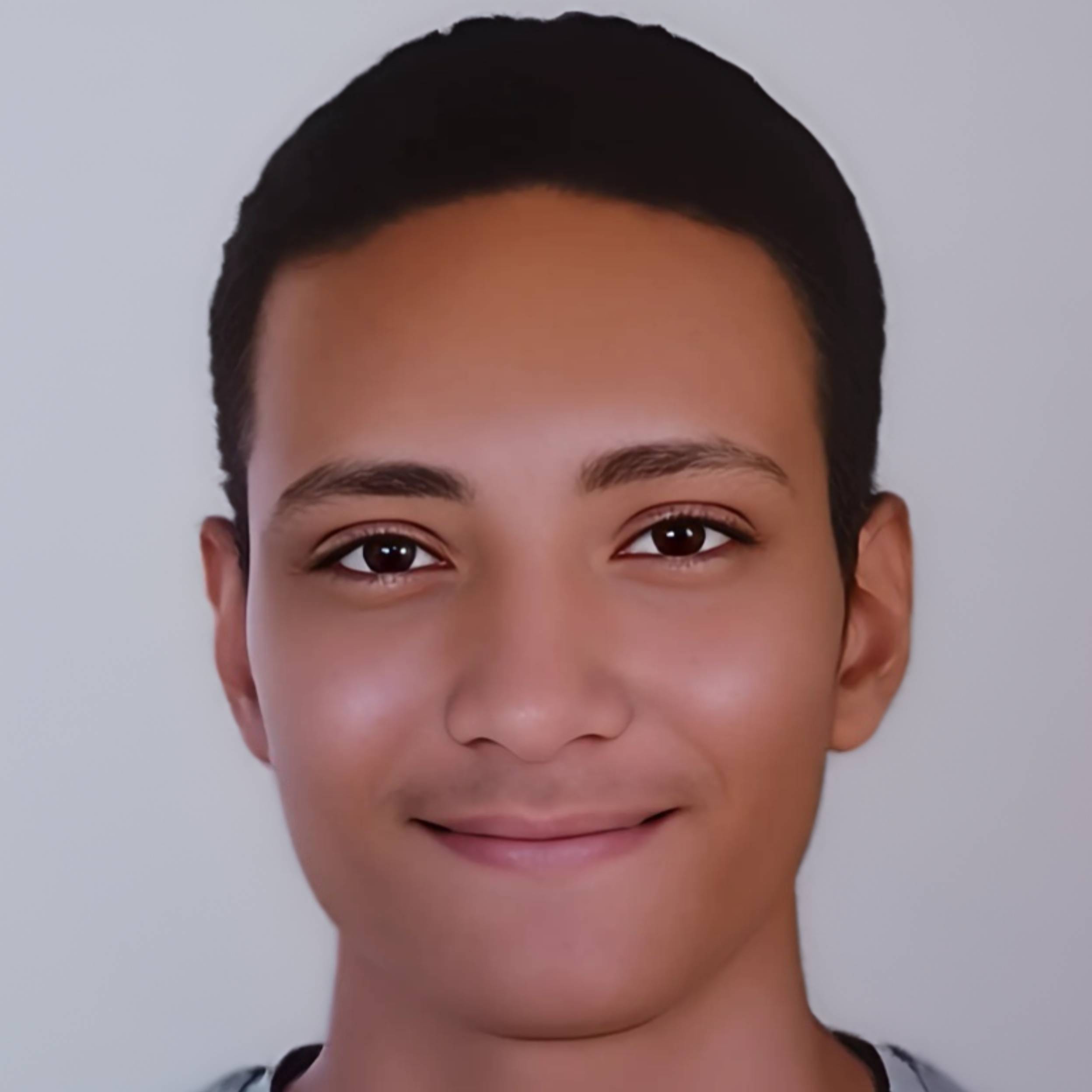 Mohamed Ashraf Aboalsaud Hassan