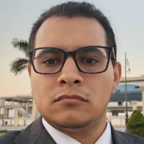 Amr Mohsen
