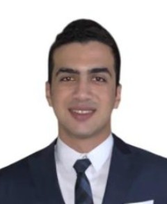 Mohab Essam Abd- Elmoniem