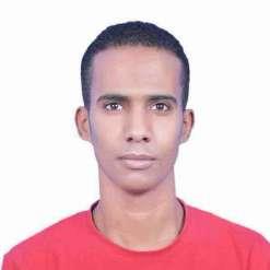 Mahmoud Aboelhassan