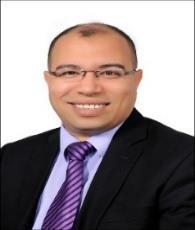 Mohamed Hussein Fahmy Mohamed Abdelaty