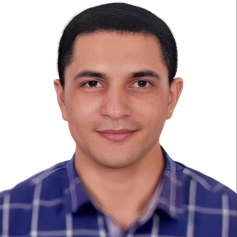 Amr Ahmed Ahmed Mostafa El-Ganzory