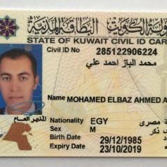 Mohammed El-Baz zayed