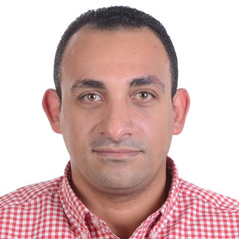 Amir Gerges