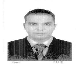 Alaa Mohamed Naguib Sayed Ahmed