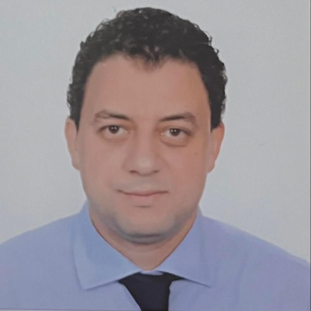 AMR MOHAMED SHAHEEN