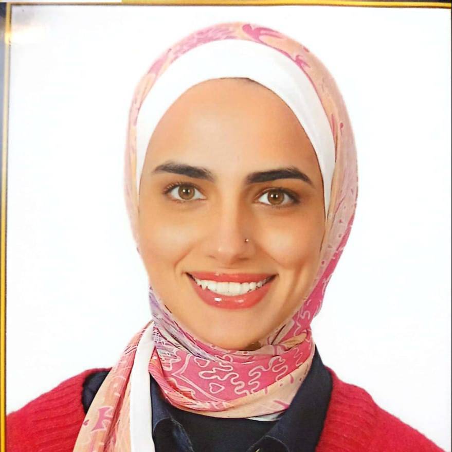 Alaa Elzokm